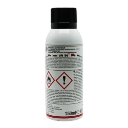 Start Pilot  - HOLTS